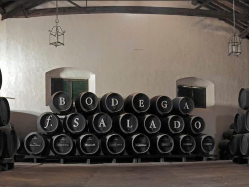 Barricas de Bodegas Salado de Umbrete