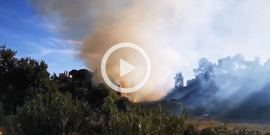 Incendio en la cornisa del Aljarafe el pasado 13 de junio de 2020.