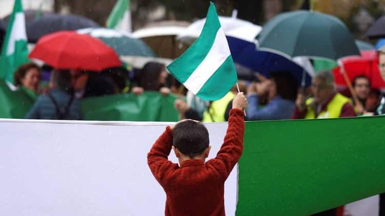 Un niño porta una bandera de Andalucía en una manifestación del 4 de diciembre.