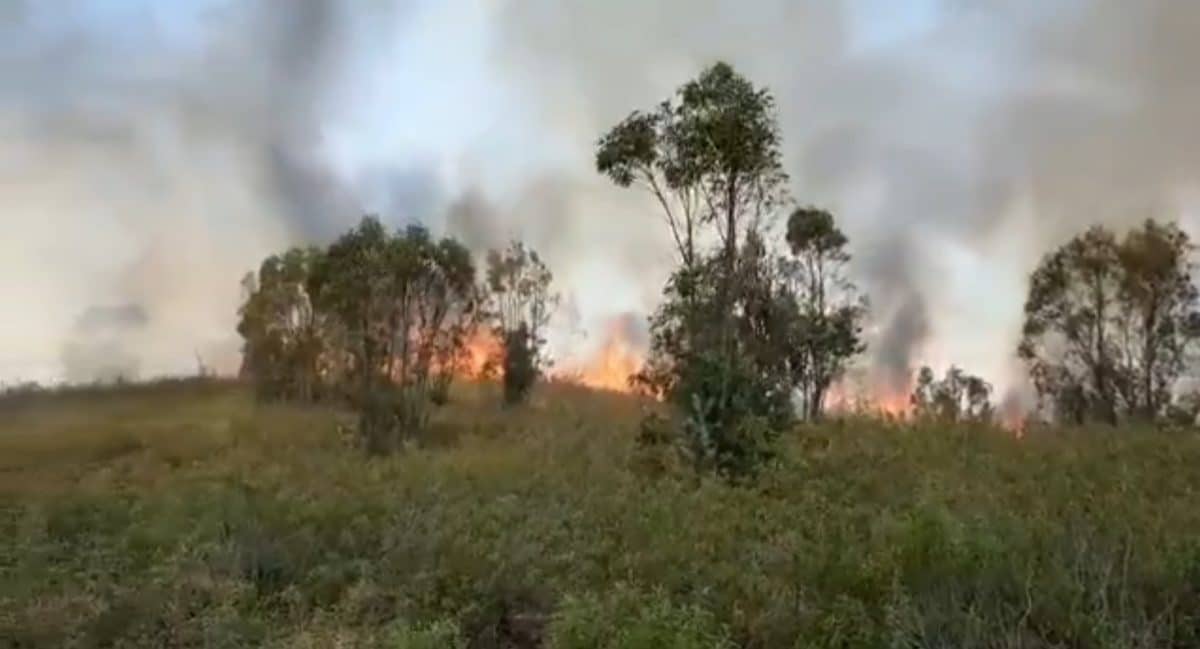 Imagen del incendio en la Puebla del Río. Imagen de los Bomberos del Aljarafe