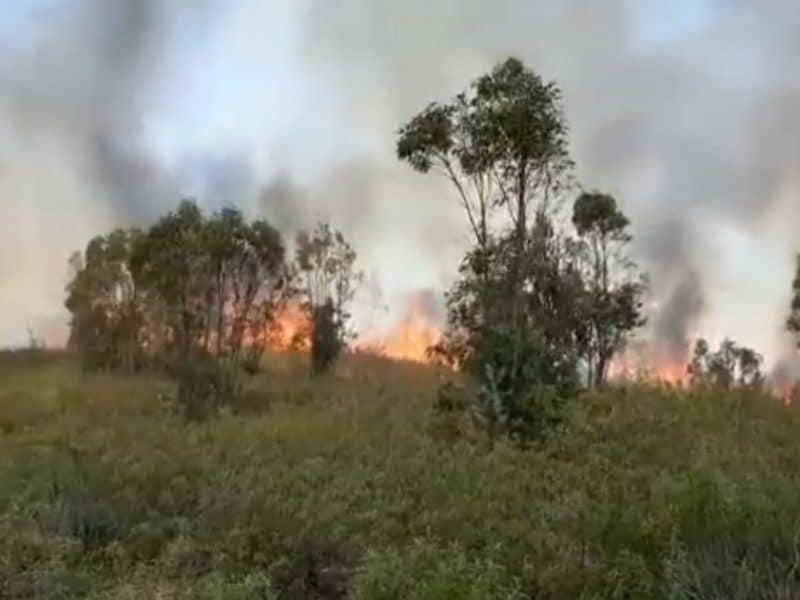 Imagen del incendio en la Puebla del Río. Imagen de los Bomberos del Aljarafe