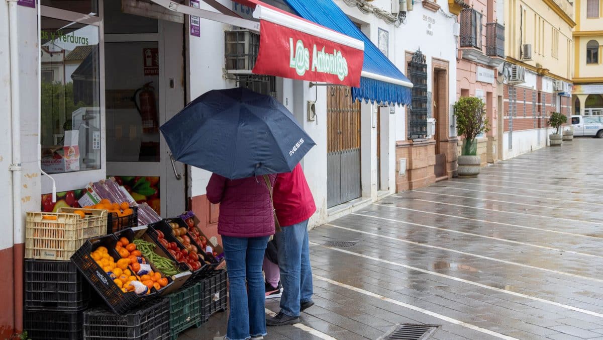 Un local comercial en Mairena del Aljarafe / AD