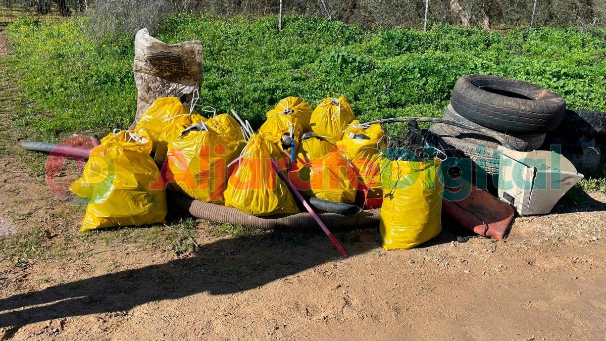 Imagen de basura recogida en el Arroyo Río Pudio el 3 de enero de 2023 / AD