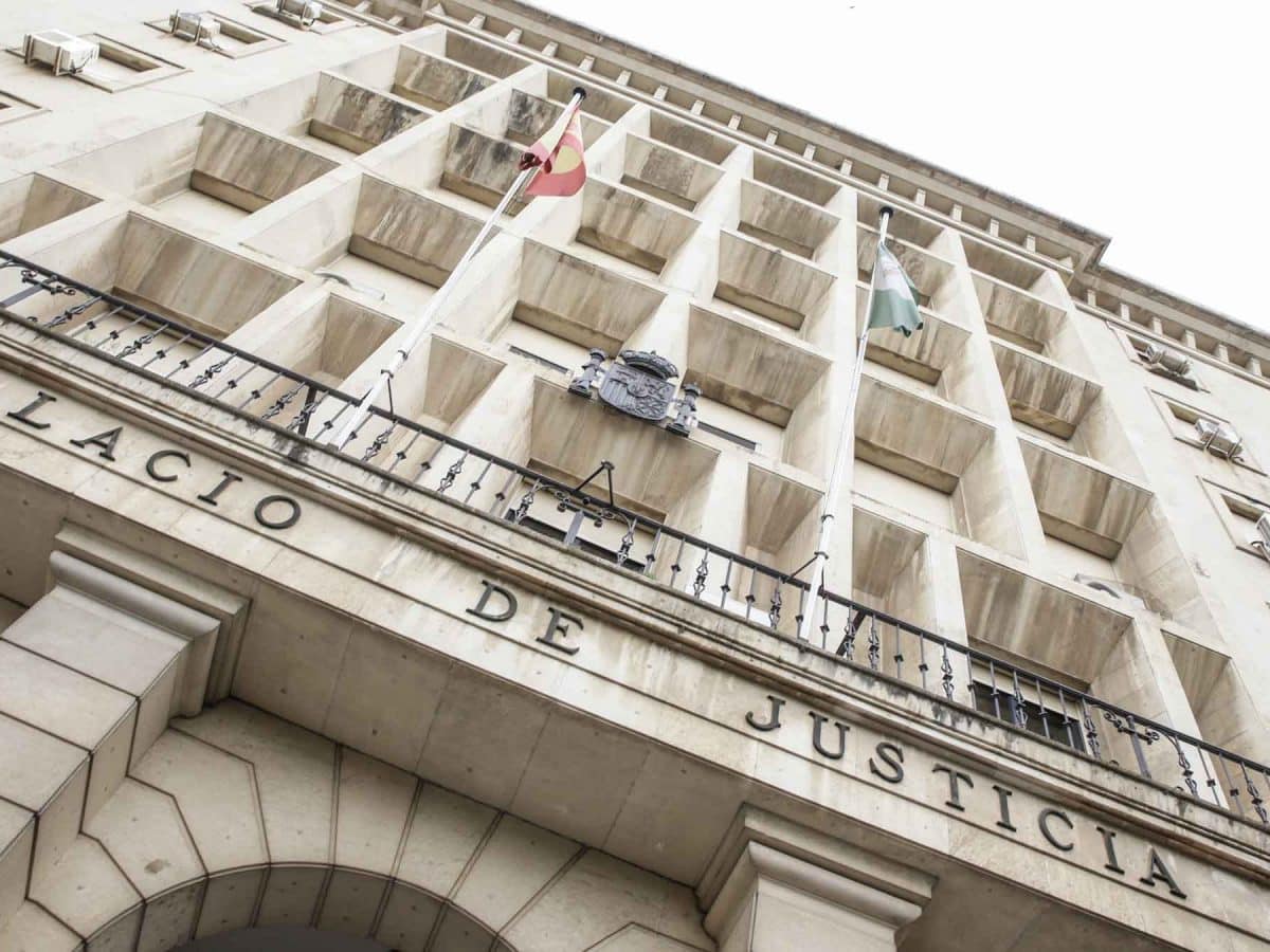 La Audiencia de Sevilla ha condenado al responsable a 21 meses en prisión