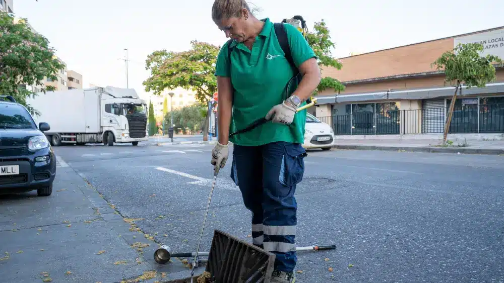 Labores de desinsección en Mairena del Aljarafe - AYUNTAMIENTO DE MAIRENA DEL ALJARAFE