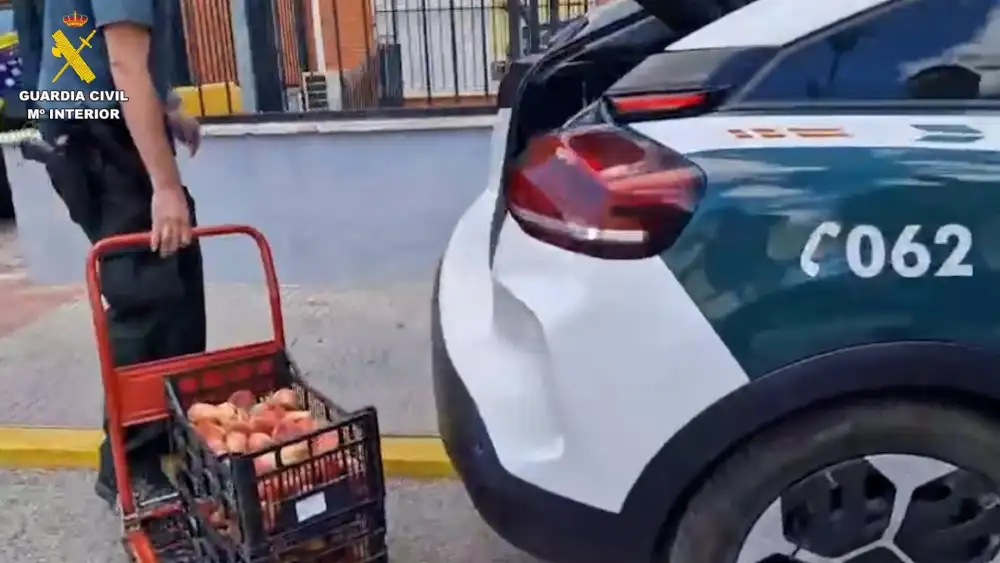 Dos detenidos por robar 4.500 kilos de paraguayos en una finca agrícola de Aznalcázar (Sevilla). - GUARDIA CIVIL