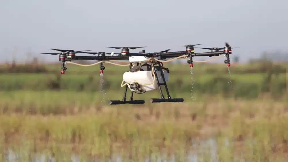 Archivo - Un dron interviene en la campaña para el tratamiento contra los mosquitos que propagan el Virus del Nilo Occidental (VNO) sobre un arrozal. A 13 de agosto de 2024, en La Puebla del Río, Sevilla (Andalucía, España). - Rocío Ruz - Europa Press - Archivo