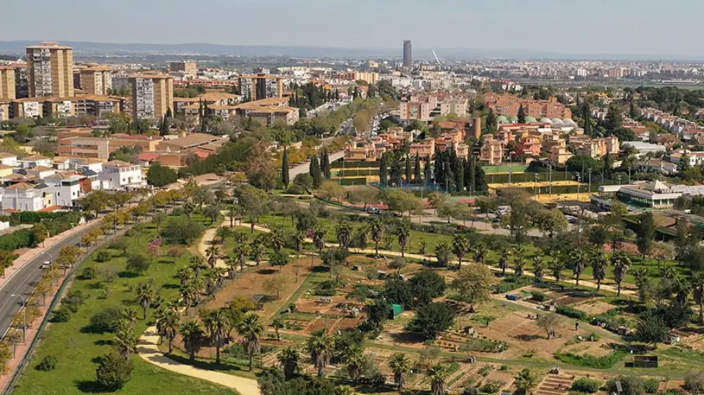 Vista panorámica de Mairena del Aljarafe. Ayuntamiento de Mairena del Aljarafe