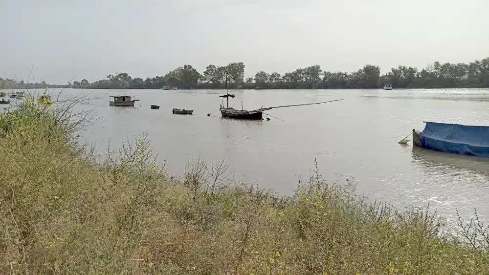 Archivo - El río Guadalquivir a su paso por Coria - EUROPA PRESS - Archivo