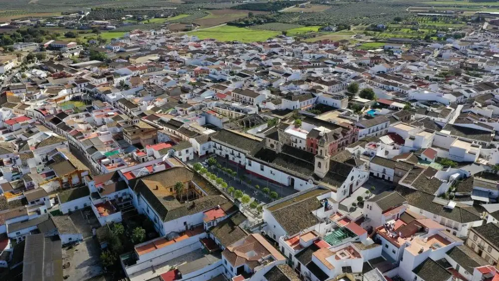 Vista panorámica de Olivares. Aljarafe 5 sentidos